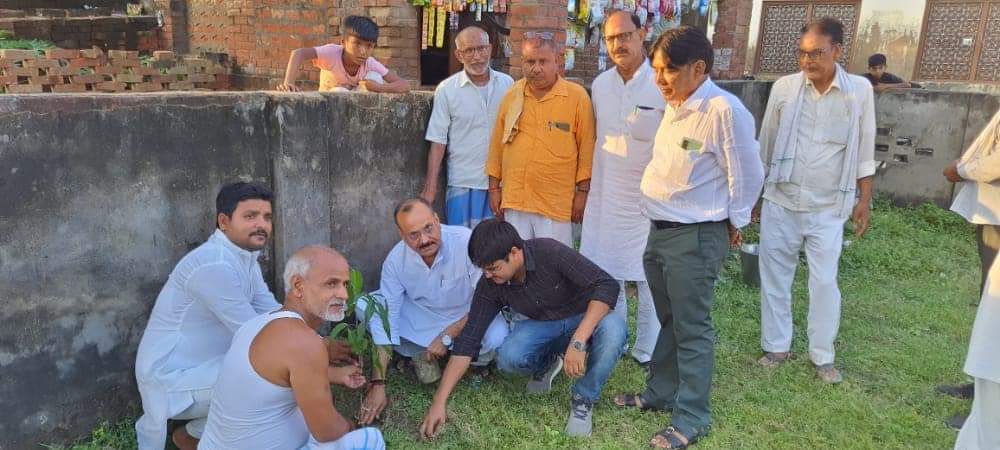 Environmental Awareness Activity